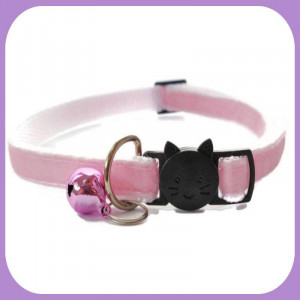 Kitten-083
